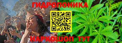 индика Малгобек