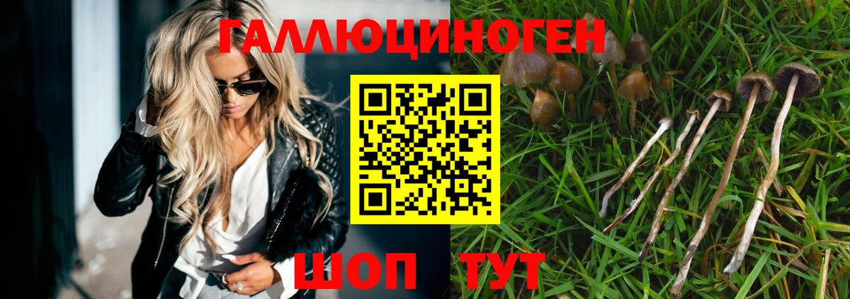 Галлюциногенные грибы мухоморы Железноводск